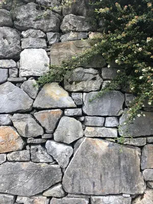 a stone wall with a plant on top of it at Stres-less Sunny Apartments in Kobarid