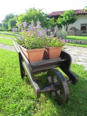 a pot of flowers sitting on top of a cart at TIN House in Povir
