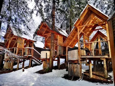 a large wooden cabin in the woods in the snow at Ribno Alpine Glamping in Bled