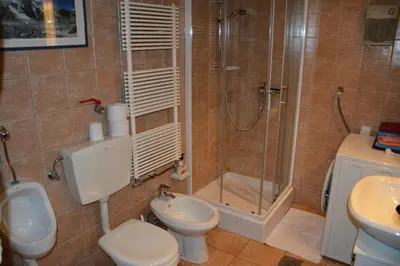 a bathroom with a shower and a toilet and a sink at Apartment Zatrnik in Bled