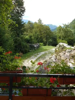 a view of a river from a balcony with flowers at Apartment Sela in Tolmin
