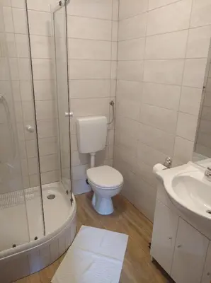 a bathroom with a toilet and a shower and a sink at Apartment Sela in Tolmin