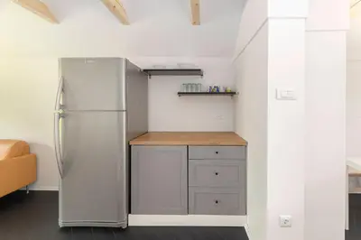 a kitchen with a stainless steel refrigerator and cabinets at Appleby Apartments Kersnik in Bohinj