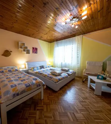 a bedroom with two beds and a wooden ceiling at Bovec Holiday House in Bovec
