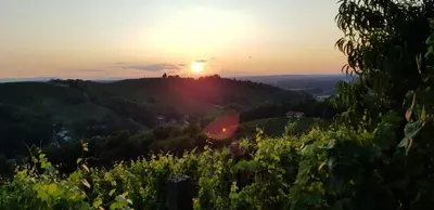 a sunset on a hill with a field of flowers at Agroturism Jures in Ljutomer