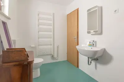 a bathroom with a toilet and a sink at Nature apartment Kersnik in Bohinj