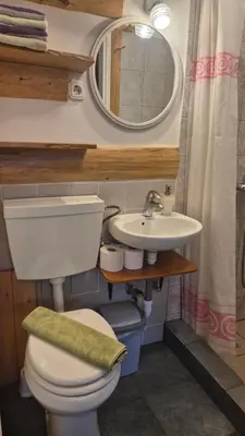 a small bathroom with a toilet and a sink at Apartments Čebelica in Bohinj