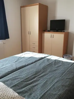 a bedroom with a bed and a tv on a cabinet at Guest house Okrepčevalnica Zemonska vaga in Ilirska Bistrica