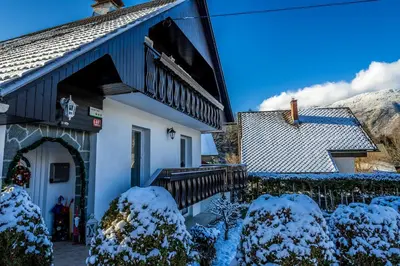 a house with snow covered bushes and a building at Apartma Sara in Bohinj