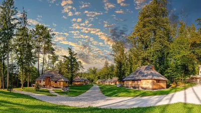 a row of wooden huts in a field with trees at Slovenia Eco resort in Stahovica