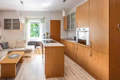 a kitchen with wooden cabinets and a living room at Apartma BRINA, new bathroom in nov 24 in Kranjska Gora