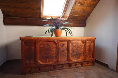 a potted plant sitting on top of a wooden cabinet at Pod Ponco Apartments in Kranjska Gora