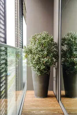 two large potted plants sitting on a window sill at Slovenia Crib in Ljubljana
