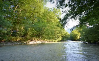 a river with trees on the side of it at Apartma Židan in Kranjska Gora