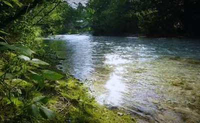 a stream of water with trees on the side of it at Apartma Židan in Kranjska Gora