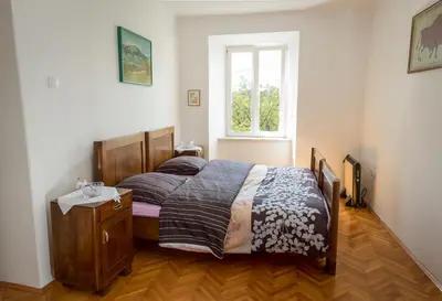 a bedroom with a bed in a room with a window at Vila Dane in Sežana