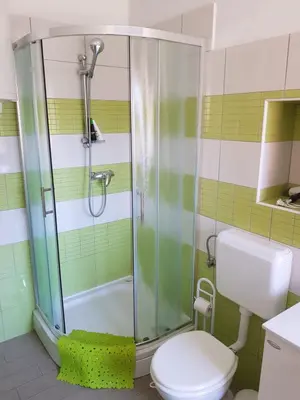 a bathroom with a shower and a toilet at Vila Dane in Sežana