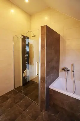 a bathroom with a shower and a bath tub at Villa Katarina in Mokronog