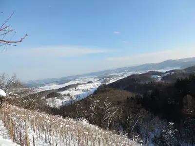 a view from the top of a mountain in the snow at Villa Katarina in Mokronog