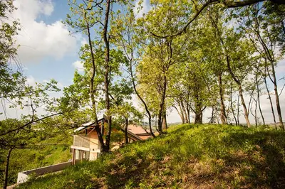 a house on top of a hill with trees at Apartment Oton Reya in Dobrovo