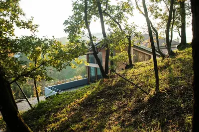 a house on the side of a hill with trees at Apartment Oton Reya in Dobrovo