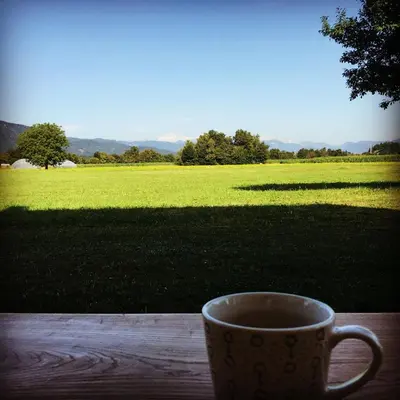 a coffee cup sitting on a table with a view of a field at B&B Woodhouse in Brezje