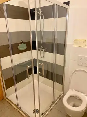 a shower stall in a bathroom with a toilet at B&B Woodhouse in Brezje