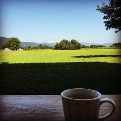 B&B Woodhouse