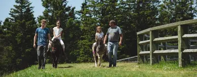 a group of people riding horses in a field at Rogla - Chalet Mojca Pokrajculja in Zreče