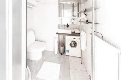 a bathroom with a washing machine and a toilet at Apartment Vila Golf in Rogaška Slatina