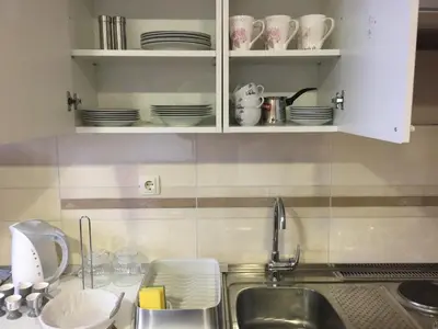 a kitchen counter with a sink and plates on shelves at Old part Apartments Banjac in Maribor