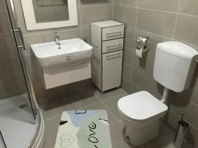 a bathroom with a toilet and a sink and a shower at Old part Apartments Banjac in Maribor