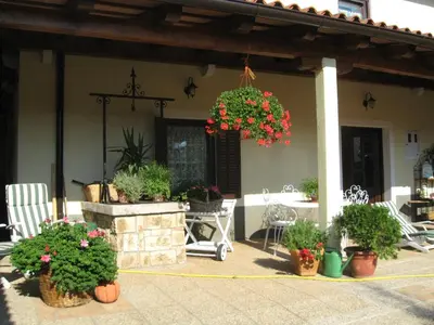 a patio with a bunch of potted plants at Country House Lokev in Lokev