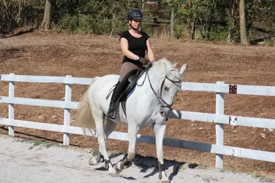 a woman riding a white horse over a fence at Country House Lokev in Lokev