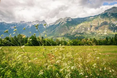 a field of grass with mountains in the background at Apartments Wallas in Bovec