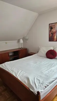a bedroom with a large white bed with red pillows at Guest House Pod Grebenom in Podčetrtek