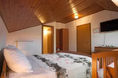 a bedroom with a bed and a television in it at Janezinovi House in Ratečevo Brdo