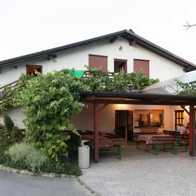 Janezinovi House