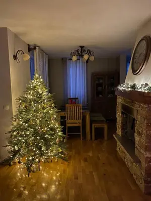 a christmas tree in a living room with a fireplace at Remarkable home Bohinj Lake in Bohinj