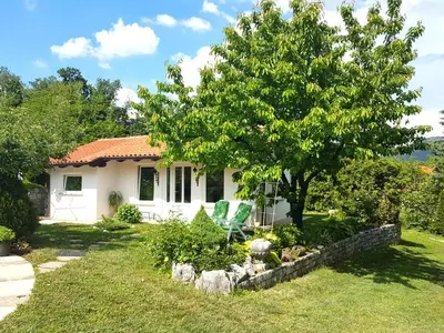 a house with a tree and two chairs in the yard at Holiday Home Slavi in Vipava