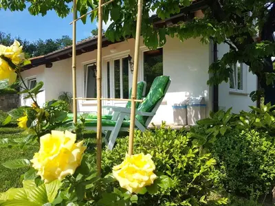 a green chair in a garden with yellow roses at Holiday Home Slavi in Vipava