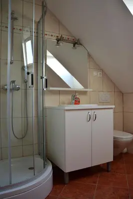 a bathroom with a shower and a sink and a toilet at Apartments Gatej in Cerkno