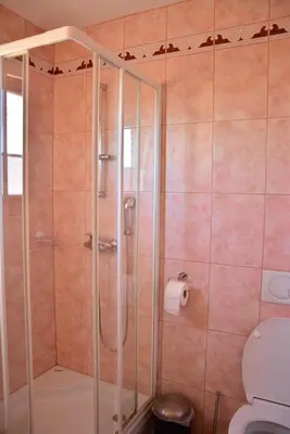 a bathroom with a shower with a toilet at Apartments Gatej in Cerkno