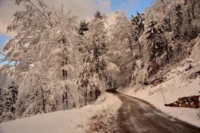 a road covered in snow with icy trees at Apartments Gatej in Cerkno