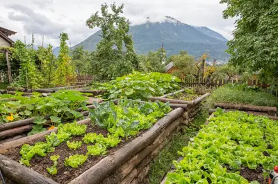 a garden with a mountain in the background at Glamping Organic Farm Slibar in Tržič