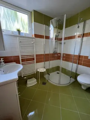 a bathroom with a shower and a toilet and a sink at Apartma Slivnik in Spodnje Gorje