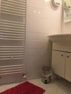 a bathroom with a sink and a shower with a pink rug at Apartment on Zdraviliski trg 7 in Rogaška Slatina