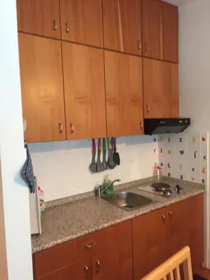 a kitchen with a sink and wooden cabinets at Apartment on Zdraviliski trg 7 in Rogaška Slatina