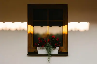 a window with a pot with red flowers on it at Eko Homestead Luka - Escape Room, Archery, BBQ, Rafting and more - in Vrh pri Fari
