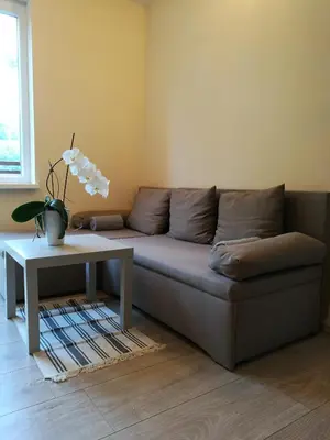 a living room with a couch and a table at Apartment Belaj in Celje